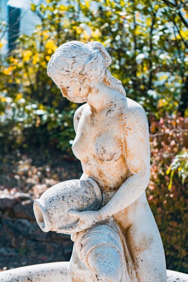 Le Mas Des Amandiers Saint-Paul-de-Vence Exteriör bild